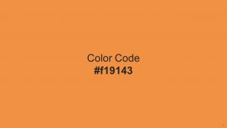 Color Palette With Five Shade Yellow Orange Yellow Orange Jaffa Burning Orange Flamingo Pre-designed Attractive