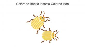 Colorado Beetle Insects Colored Icon In Powerpoint Pptx Png And Editable Eps Format