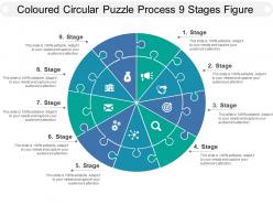 Coloured circular puzzle process 9 stages figure