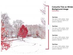 Colourful Tree As Winter Background Image