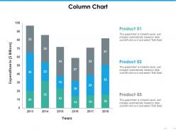 Column chart ppt summary graphics download