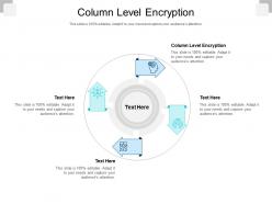 Column level encryption ppt powerpoint presentation show microsoft cpb