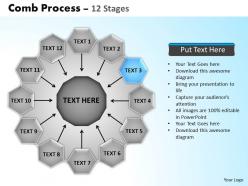 Comb process 12 stages powerpoint slides 3