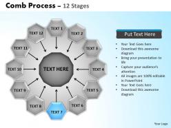 Comb process 12 stages powerpoint slides and ppt templates 0412