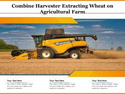 Combine Harvester Extracting Wheat On Agricultural Farm