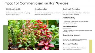 Commensalism Ecology PPT Presentation ACP Impactful Image