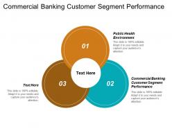 Commercial banking customer segment performance public health environment cpb