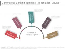 Commercial banking template presentation visuals
