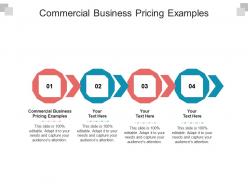Commercial business pricing examples ppt powerpoint presentation model outline cpb
