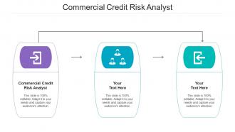 Commercial Credit Risk Analyst Ppt Powerpoint Presentation Icon Rules Cpb