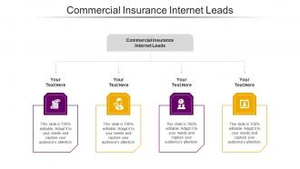 Commercial Insurance Internet Leads Ppt Powerpoint Presentation Gallery Picture Cpb