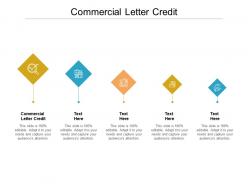 Commercial letter credit ppt powerpoint presentation pictures model cpb