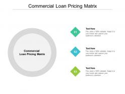 Commercial loan pricing matrix ppt powerpoint presentation pictures brochure cpb