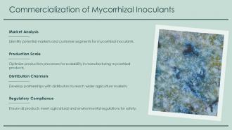Commercialization Of Mycorrhizal Inoculants PPT Slides ACP Commercialization Of Mycorrhizal Inoculants PPT Slides ACP