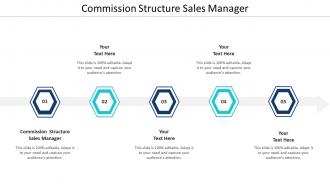 Commission Structure Sales Manager Ppt Powerpoint Presentation Professional Format Cpb