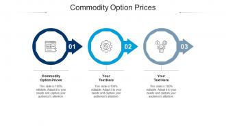Commodity option prices ppt powerpoint presentation infographics layout cpb