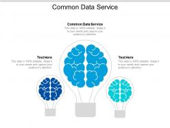 common_data_service_ppt_powerpoint_presentation_icon_vector_cpb_Slide01