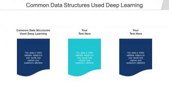 Common Data Structures Used Deep Learning Ppt Powerpoint Presentation Visual Aids Cpb