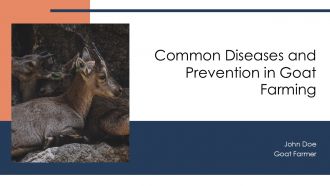 Common Diseases And Prevention In Goat Farming PPT Structure AT