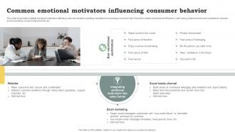 Common Emotional Motivators Influencing Promote Products And Services Through Emotional