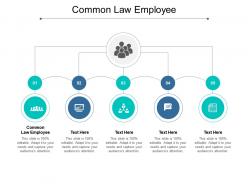 Common law employee ppt powerpoint presentation infographics portfolio cpb