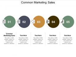 common_marketing_sales_ppt_powerpoint_presentation_file_graphics_cpb_Slide01