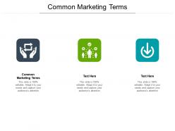 Common marketing terms ppt powerpoint presentation show examples cpb