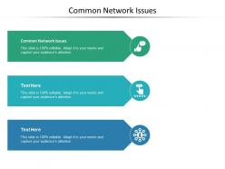 Common network issues ppt powerpoint presentation inspiration vector cpb