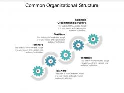 Common organizational structure ppt powerpoint presentation model background image cpb