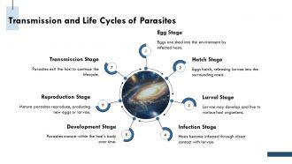 Common Parasitic Diseases And Their Global Impact PPT Structure AT Pre-designed Captivating