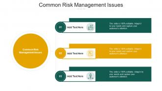 Common Risk Management Issues In Powerpoint And Google Slides Cpb