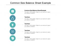 Common size balance sheet example ppt powerpoint presentation model topics cpb