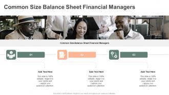 Common Size Balance Sheet Financial Managers In Powerpoint And Google Slides Cpb