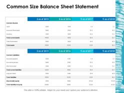 Common size balance sheet statement ppt icon sample