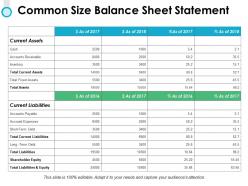 Common size balance sheet statement ppt powerpoint presentation file layouts