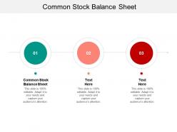 Common stock balance sheet ppt powerpoint presentation professional outfit cpb