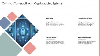 Common Vulnerabilities In Cryptographic Systems Multi Sign Wallet Ppt Example ST AI SS