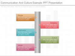 Communication and culture example ppt presentation