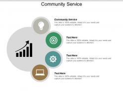 Community service ppt powerpoint presentation pictures format ideas cpb
