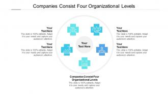 Companies consist four organizational levels ppt powerpoint presentation outline demonstration cpb