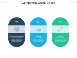 Companies credit check ppt powerpoint presentation file graphics tutorials cpb