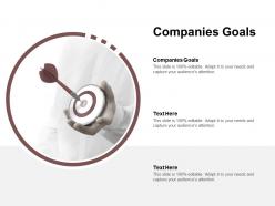 Companies goals ppt powerpoint presentation layouts infographic template cpb