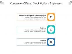Companies offering stock options employees ppt powerpoint presentation icon aids cpb