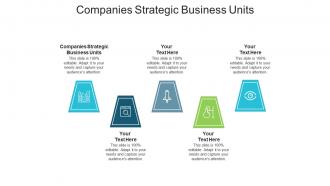 Companies strategic business units ppt powerpoint presentation show information cpb