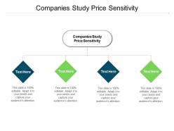 Companies study price sensitivity ppt powerpoint presentation icon cpb