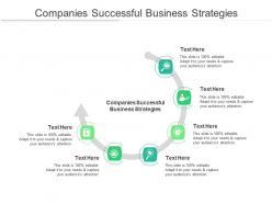Companies successful business strategies ppt powerpoint presentation styles portrait cpb