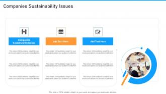 Companies Sustainability Issues In Powerpoint And Google Slides Cpb