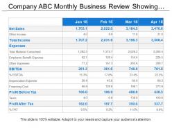 Company abc monthly business review showing profit and loss kpis with net sales