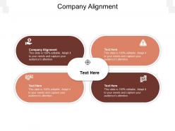 Company alignment ppt powerpoint presentation professional slideshow cpb