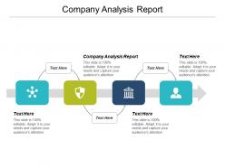 Company analysis report ppt powerpoint presentation summary design inspiration cpb